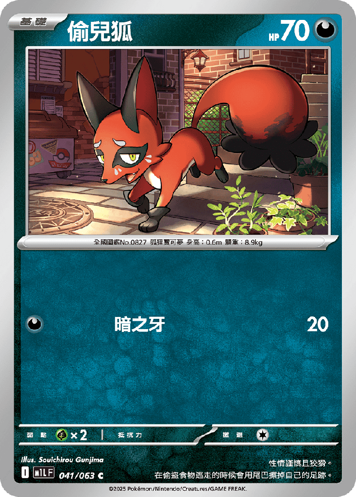 偷兒狐 041/063
